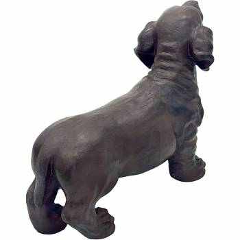Alternative image